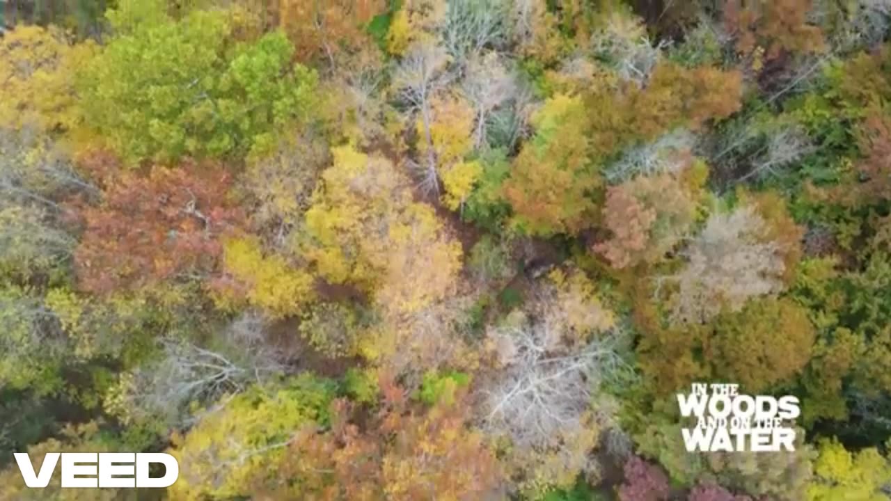 Marion County Wildlife Area [Three Troopers Remix]