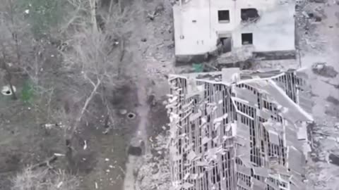 They are running around Mirnograd, trying to find a sturdier house.