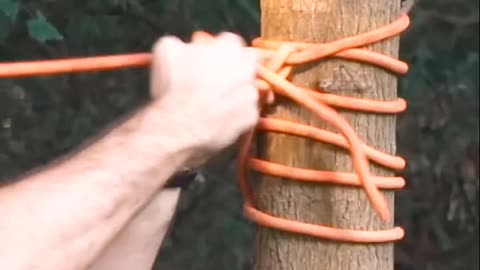 Survival bushcraft skills