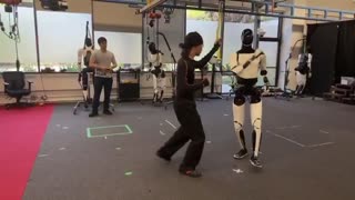 Tesla Optimum Robot learning Kung fu