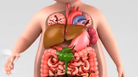 Good Food vs Junk Food: What REALLY Happens to Your Body! 🍎🍔 .