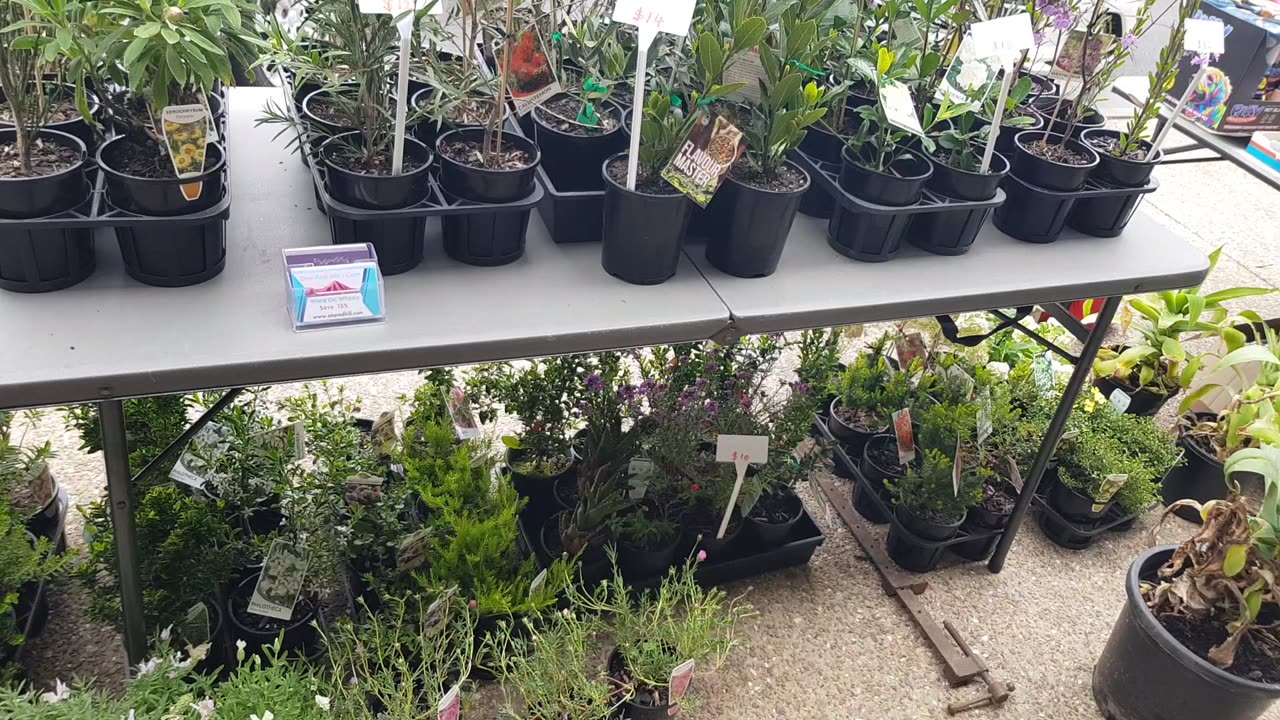 Whats Available at the market 23/10/2025