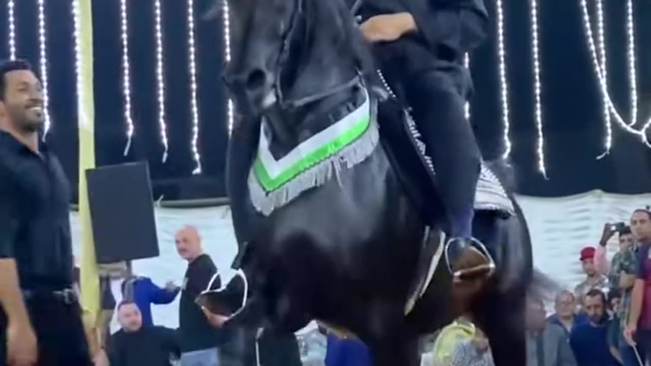 Horse dancing