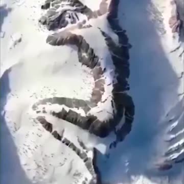 Evidence of petrified giants?