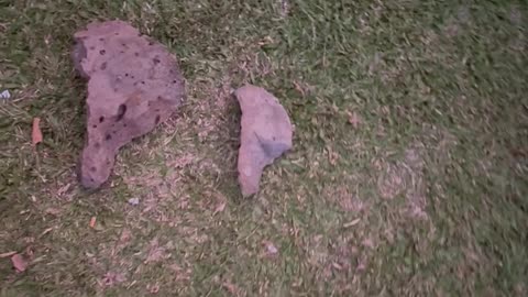 Africa, South America, and it’s looking like more.