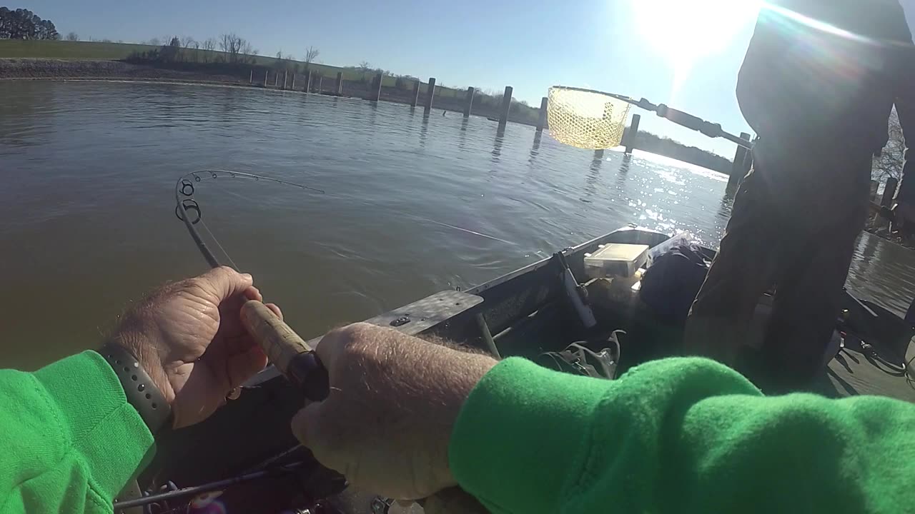 Catching jumbo walleyes in the dark.