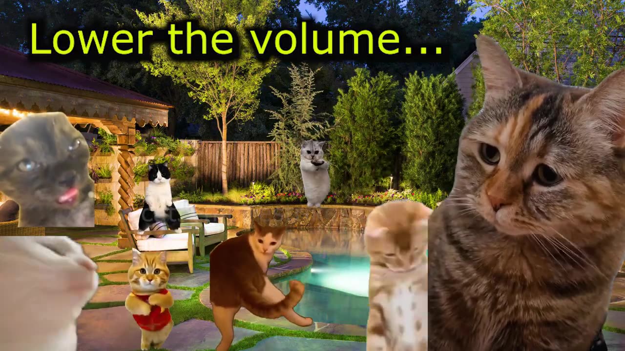 When a Cat Hates Parties in the Neighborhood (Ep.65)