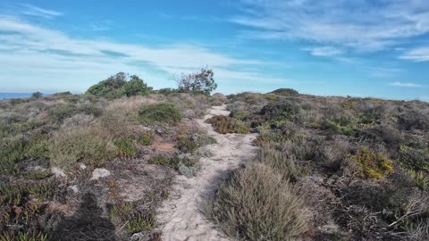 Chripmaz Trekking and Birdwatching in Lagoa de Sto Andre 26th DEC 2025 pt 2