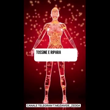 Autofagia e guarigione