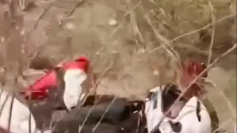 🏍️💥 Bike Racing on Road Ends With Wall Crash! | Shocking Accident Caught on Camera 😱