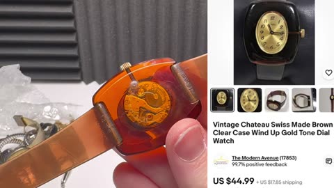 RARE Watches Hiding in PLAIN SIGHT on EBAY!