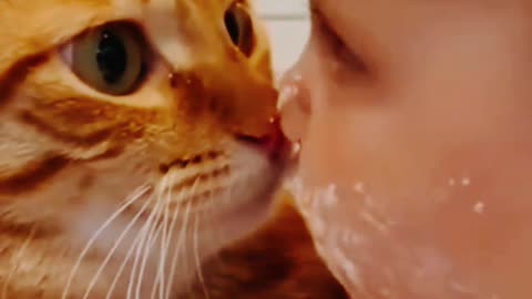“This Baby Tried to Shave a Cat 😭🐱 | Funniest Moment Ever”