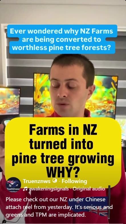 NZ Government Crimes: Pine Forests