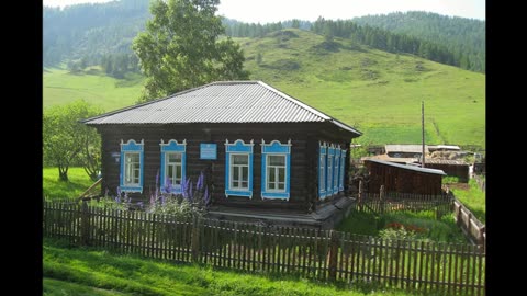 Sivý koník kozácky