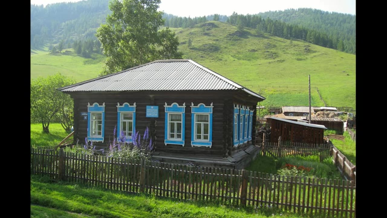 Sivý koník kozácky