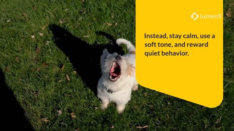 What Your Dog’s Barking Really Means (And How to Respond)