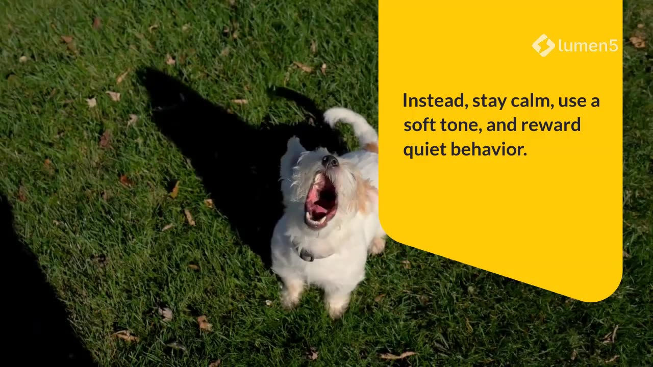 What Your Dog’s Barking Really Means (And How to Respond)