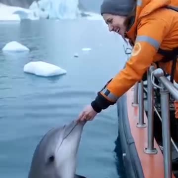The Heartwarming Story Of A Dolphin Trapped In A Net
