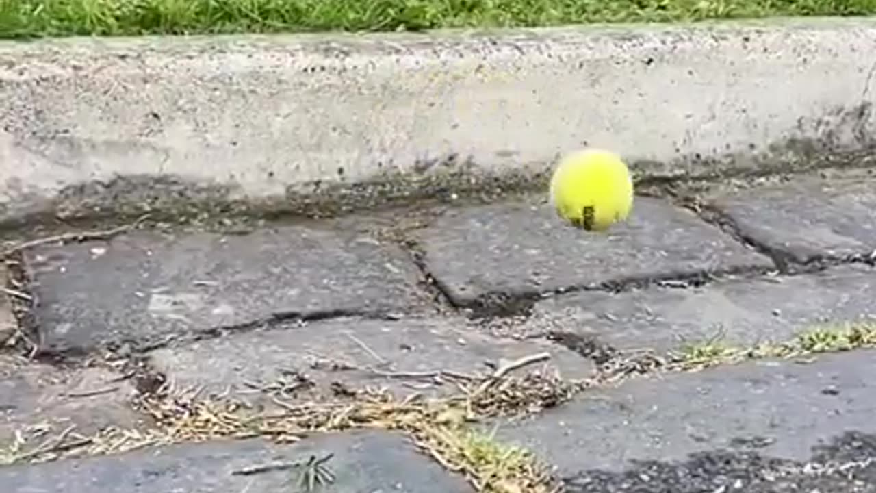 🤣🤚 Throwing With Your Off Hand in Public Gone Wrong! | FunFM