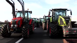 French farmers block roads over cattle culls due to lumpy skin disease