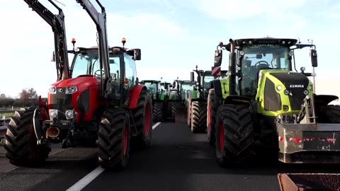 French farmers block roads over cattle culls due to lumpy skin disease