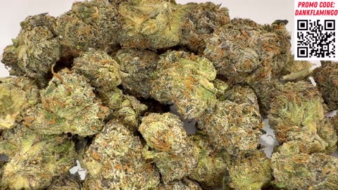 Supreme Flower from Lit Farms! Mrs Dank Flamingo Review!!