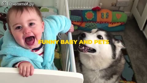 Funny cats compilation
