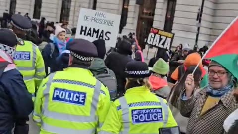 London — A pro-Palestine protester was arrested in Whitehall for holding a sign