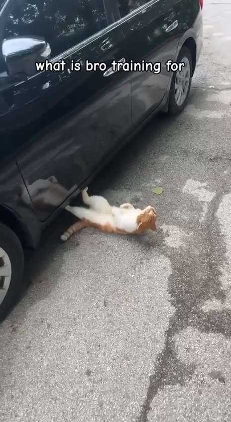 Where there is a will there’s a way