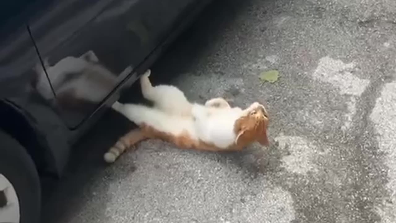 Where there is a will there’s a way