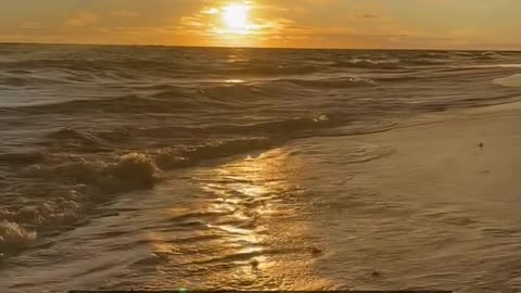 Daily Horoscope | Leo 🌟