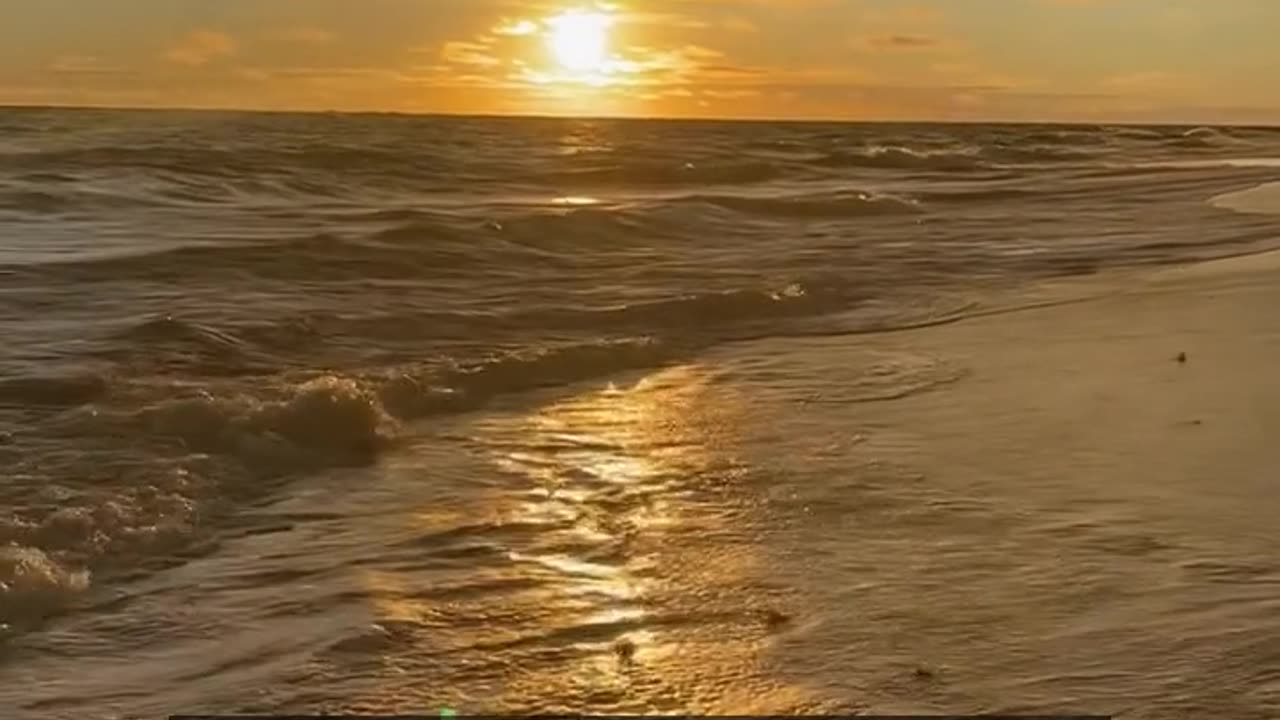 Daily Horoscope | Leo 🌟