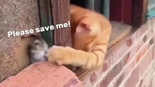 😂🤣 Is This the Worst Joke Ever Told? | FunFM