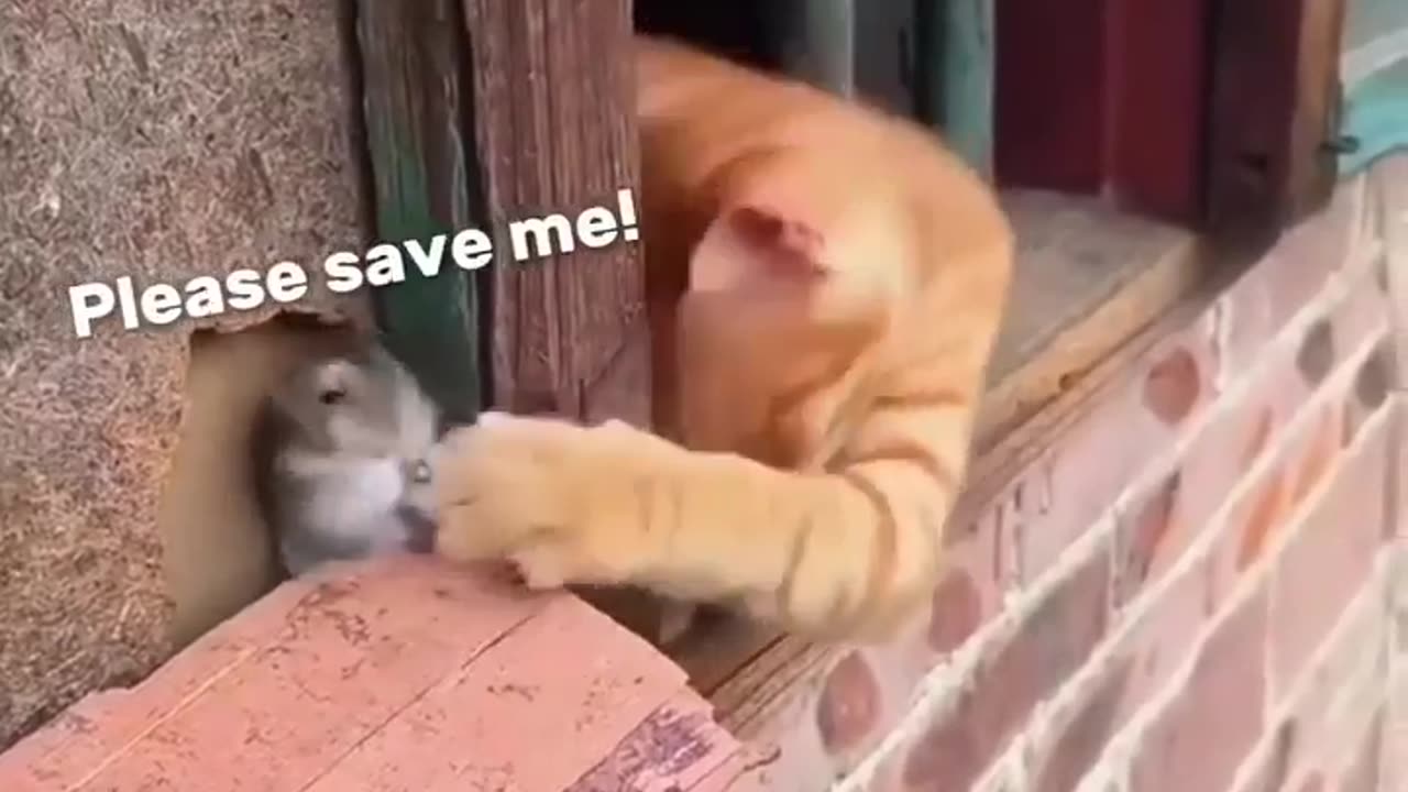 😂🤣 Is This the Worst Joke Ever Told? | FunFM