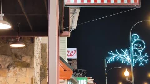 Five Guys Black Bear