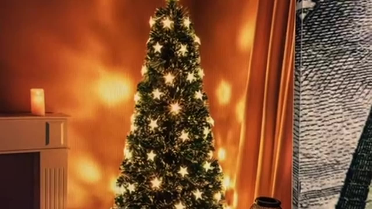 Christmas Trees exposed…