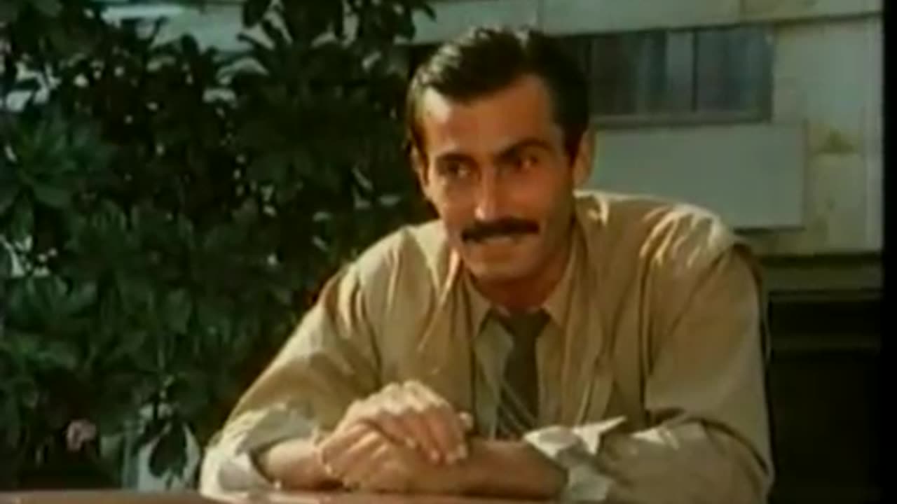 Bataklıkta Bir Gül