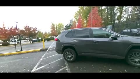 Tort Claim Notice Coming Right Up! Compilation