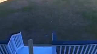 💀🤦‍♂️ You Won't Believe This Epic Fail! I'm Not a Smart Man | FunFM
