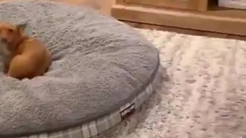 🤣