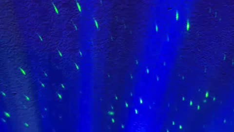 ✨The Low Tech Playlist 📀💫