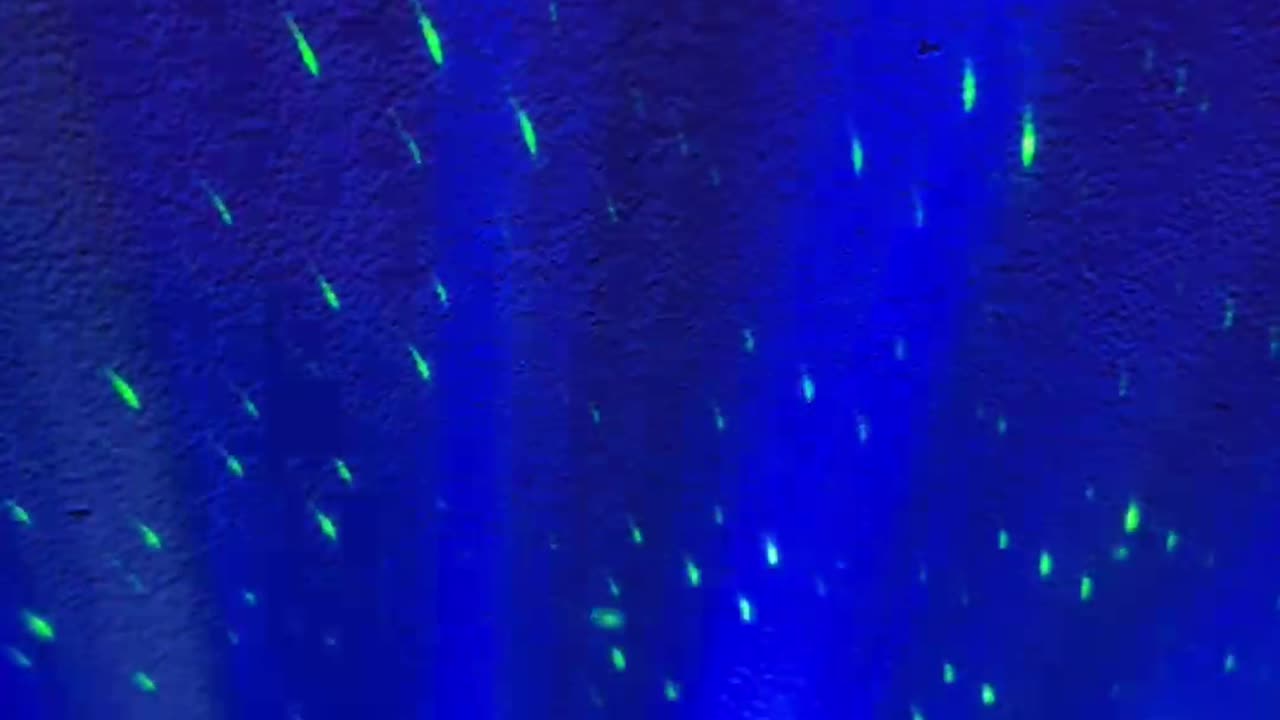 ✨The Low Tech Playlist 📀💫