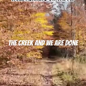 Trail running on the FLT