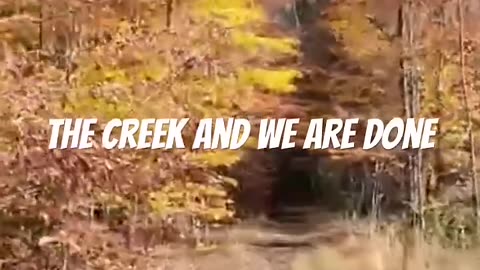 Trail running on the FLT