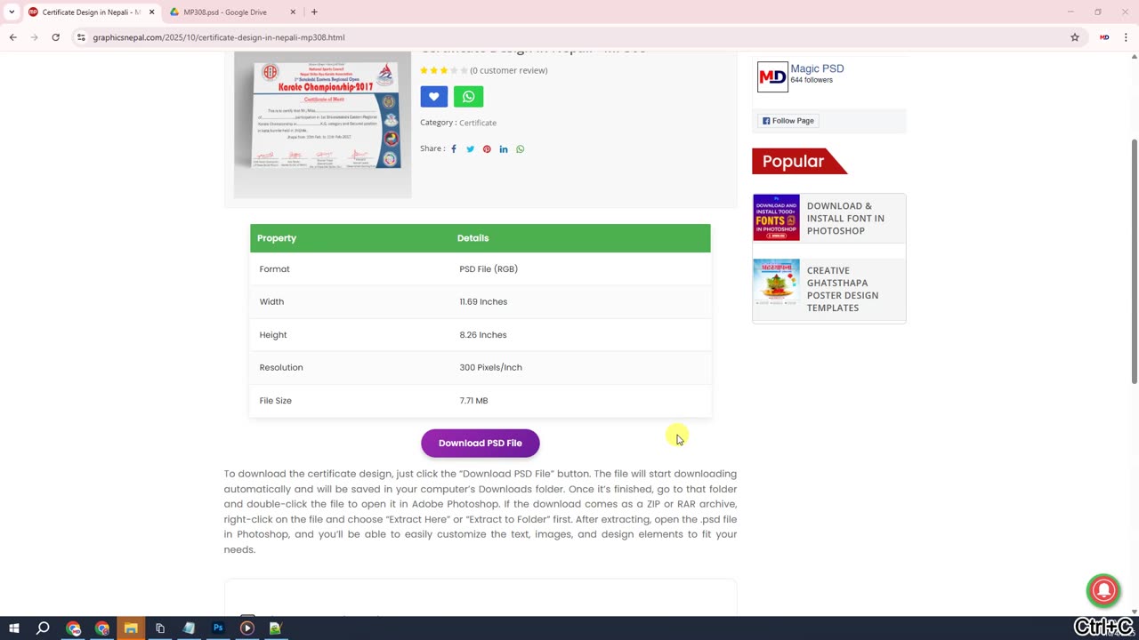 MP308 Download