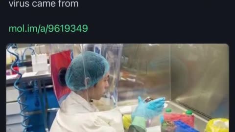 Here we Go Obama Bin Laden