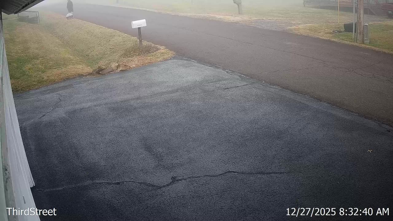 Man on Driveway - Thief?