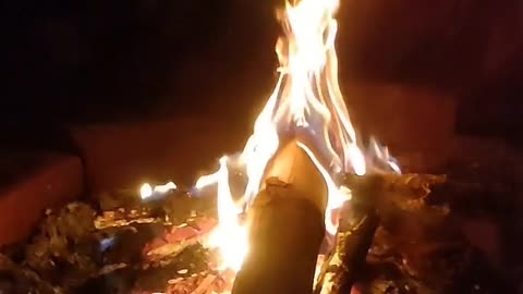 Daily Horoscope | Aries 🌟