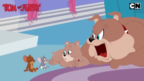 Funny Tom and Jerry_ The Great Cat _ Mouse Saga!