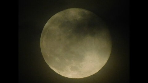 The genius of TH - trans-humanism